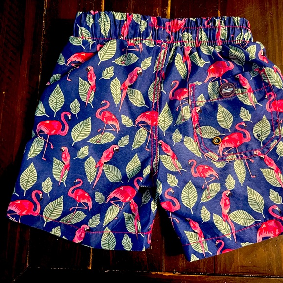 Boys 5T Flamingo Swim Trunks - Picture 2 of 2